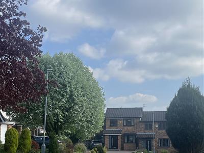 Picture 29